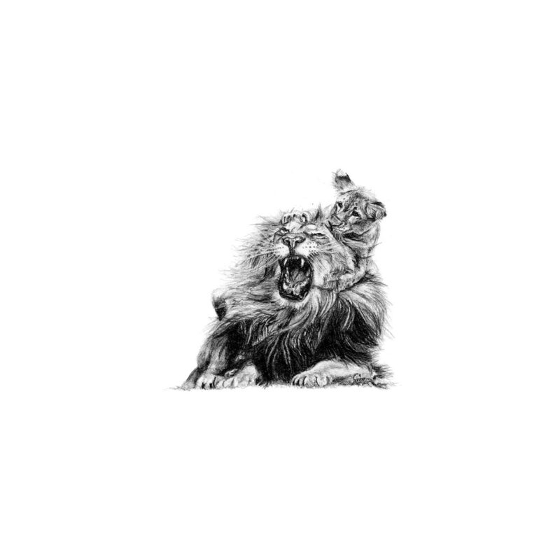 Lion Print 8cm