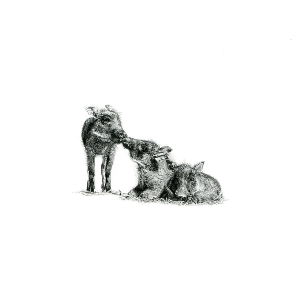 Warthogs Print 8cm