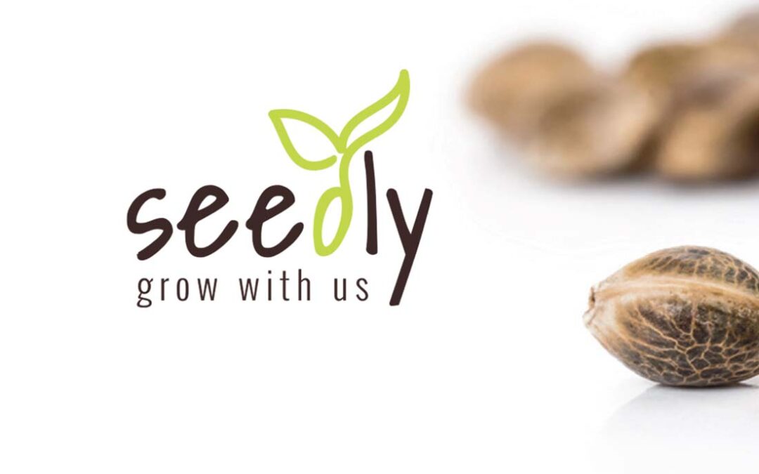 Seedly Logo Design