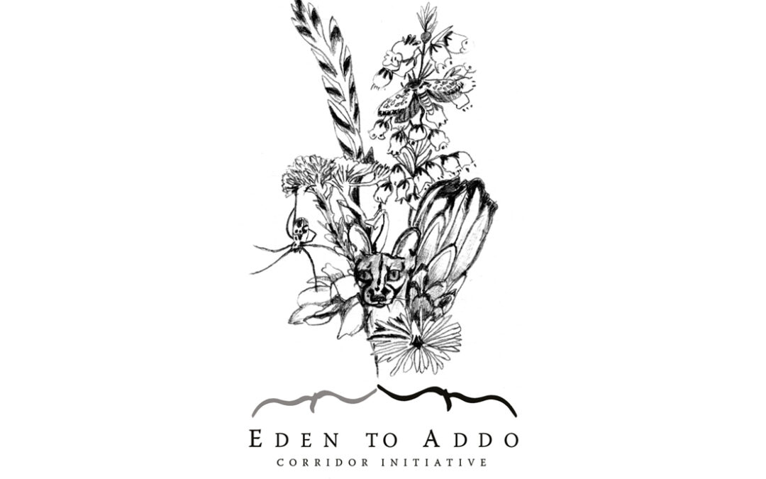 Eden to Addo Gift Card Design