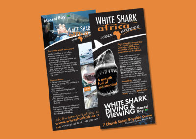White Shark Africa Flyer Design