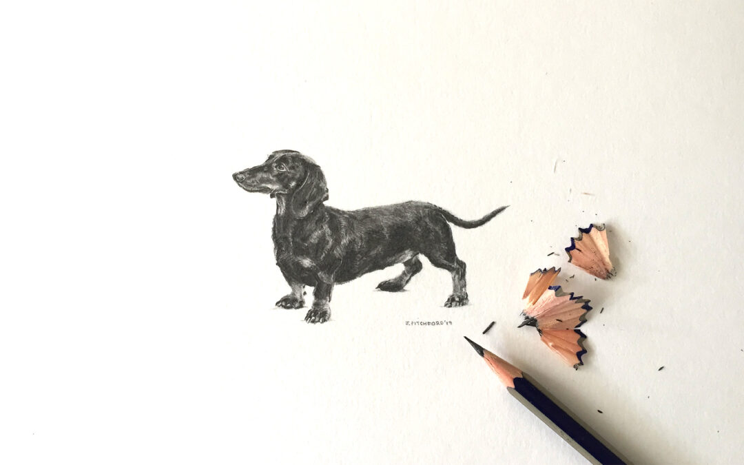Drawing Tiny Illustrations in Pencil