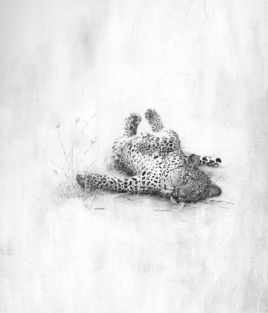 product image of the Pitchford Art print of a leopard painting