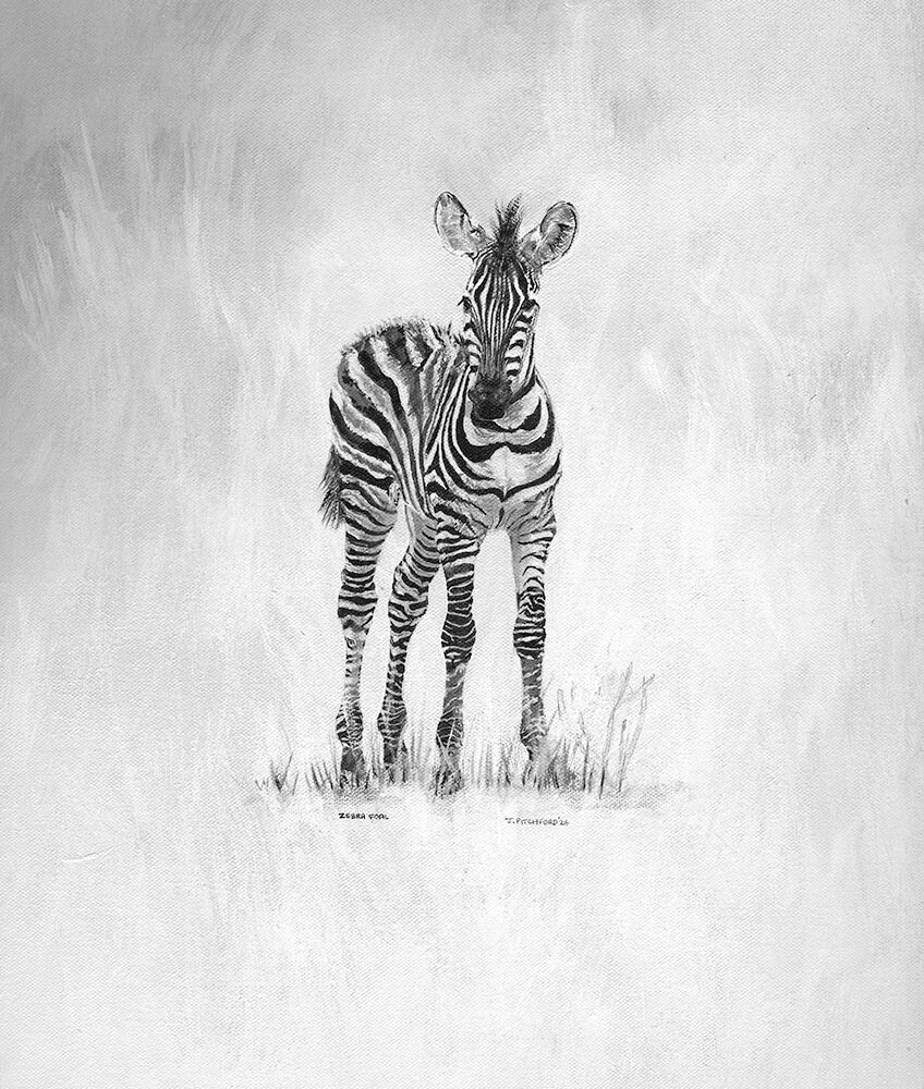 product image of the Pitchford Art print of a zebra painting