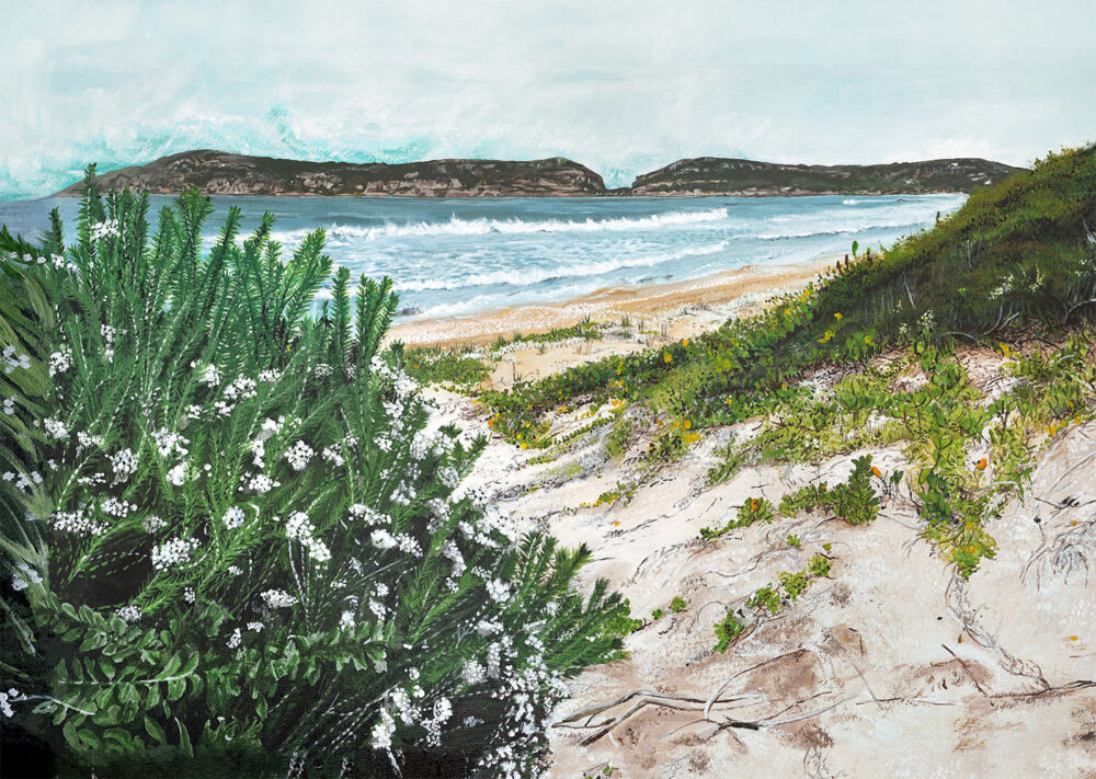 Robberg Beach Painting 400x295mm Print